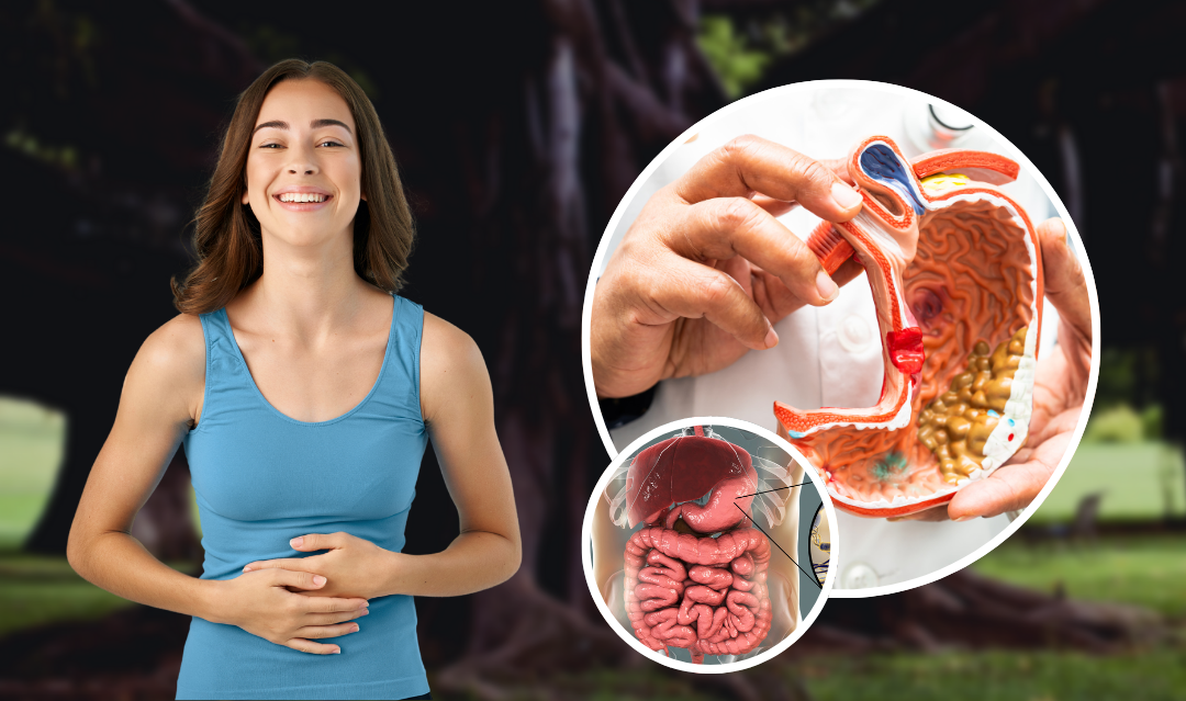 Improving Digestive Health and Alleviating Constipation